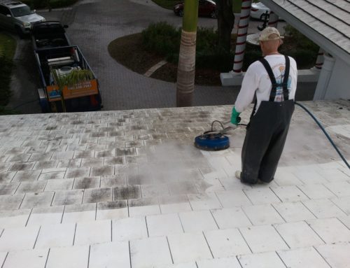 Roof Cleaning in Gable Estates Florida